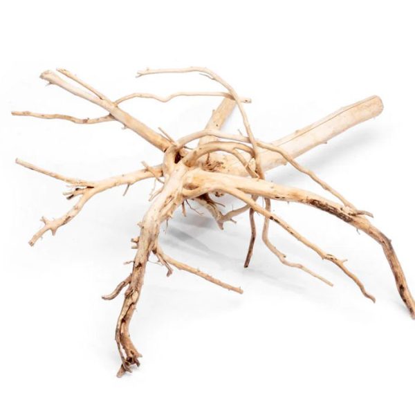 Spider Wood (Per kg)