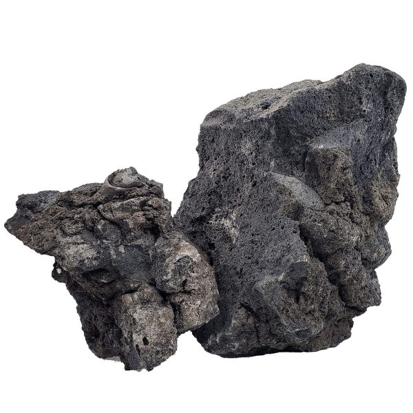Black Lava Rock (Per 100g)