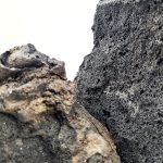 Black Lava Rock (Per 100g) - Image 2