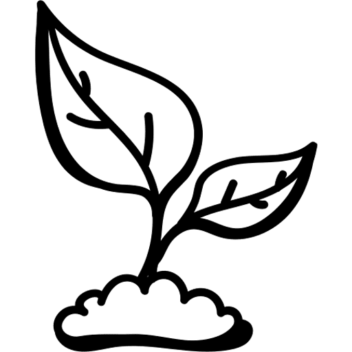 Aqua Atlantis | Aquatic Plants | Aquascaping | Aquariums