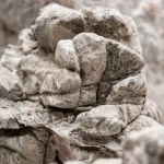 Elephant/Epic Stone (Per 100g) - Image 2