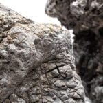 Elephant/Epic Stone (Per kg)