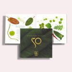 Book - 50 Years under the Surface