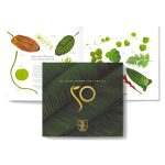 Book - 50 Years under the Surface - Image 2