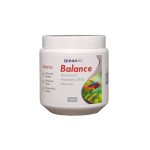 Balance 300g