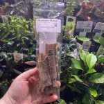 Nature Boys Cinnamon Bark 50g