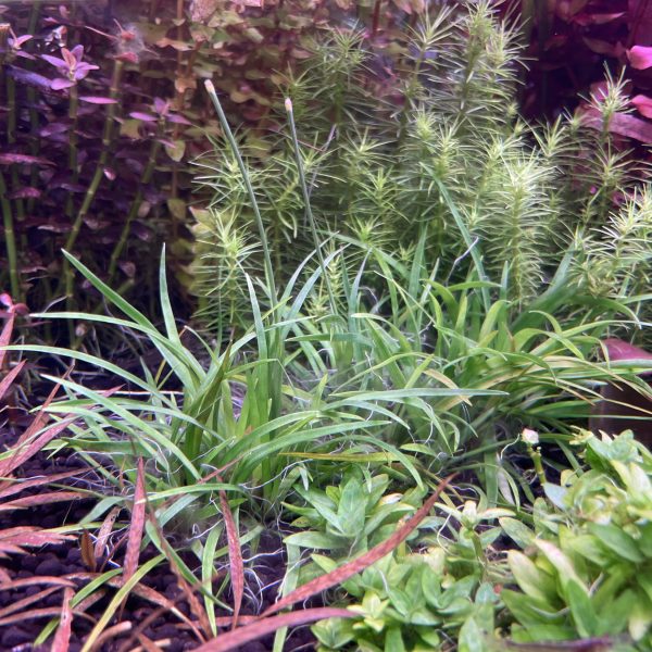 aeb6ea86 3756 4b94 a1d0 0da057d898c0 15213 00000864a42c1062 file