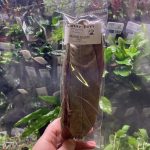 Nature Boys Mango Leaves M