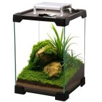 SkyLight Tiny - Image 2