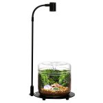 Bioloark DX-03 LED Lamp - Image 2