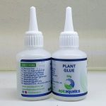 Plant Glue
