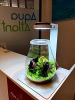 Chihiros Dew Pot Shaped - Image 2
