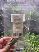 Nature Boys Africa Cholla 20-35g - Image 2