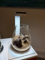 Chihiros Dew Pot Shaped - Image 6