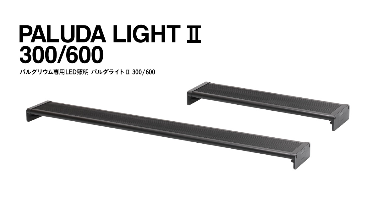 2025 07 04 0000 main