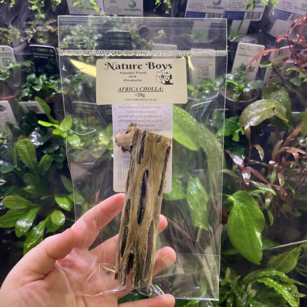 Nature Boys Africa Cholla 20g