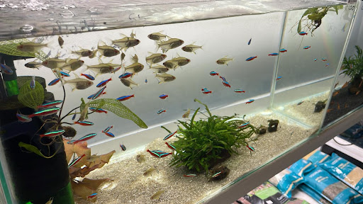 Photo from customer review