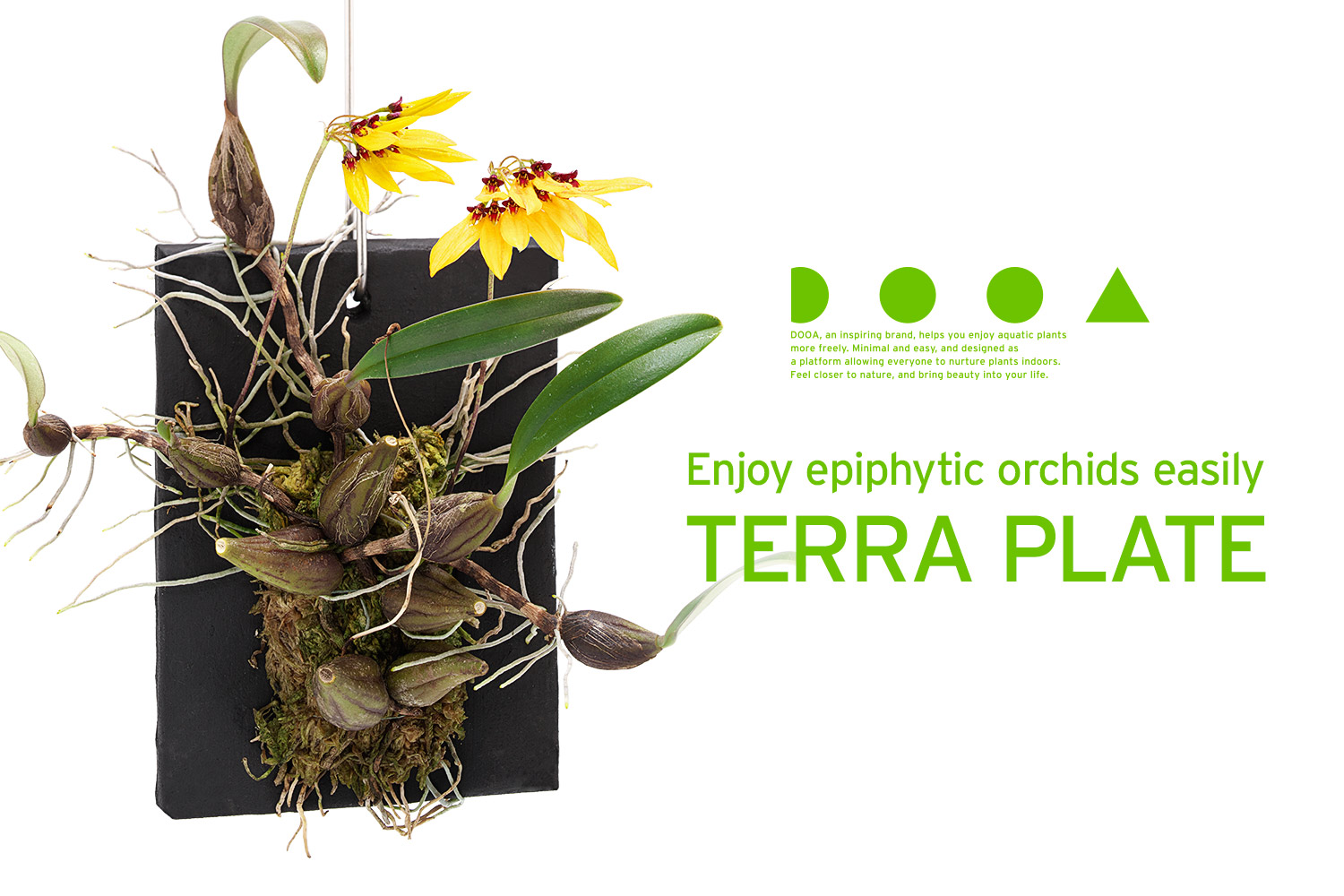 DOOA Terra Plate 1