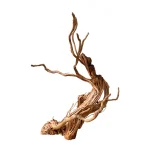 Azalea Wood 60–90cm (Per kg) - Image 2