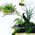 DOOA Neo Glass AIR W200×D0200×H80 - Image 2