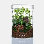 DOOA Glass Pot MARU 130 - Image 2