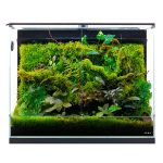 DOOA Neo Glass Paluda 60 - Image 2