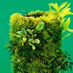 DOOA TERRA Base M - Image 3