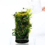 DOOA TERRA Base M - Image 2