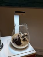 Chihiros Magnetic Base L - Image 4