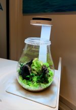 Chihiros Magnetic Base L - Image 3