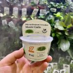 Horizon Labs Micranthemum sp “Monte Carlo”