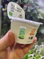 Horizon Labs Callitrichoides Cuba - Image 3