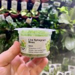 Horizon Labs Live Sphagnum Moss (terestrial)