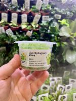 Horizon Labs Live Sphagnum Moss (terestrial)