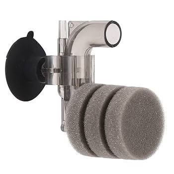 img_1995 Antopie mini sponge filter - Image 1