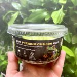 Horizon Labs Live Premium Cushion Moss