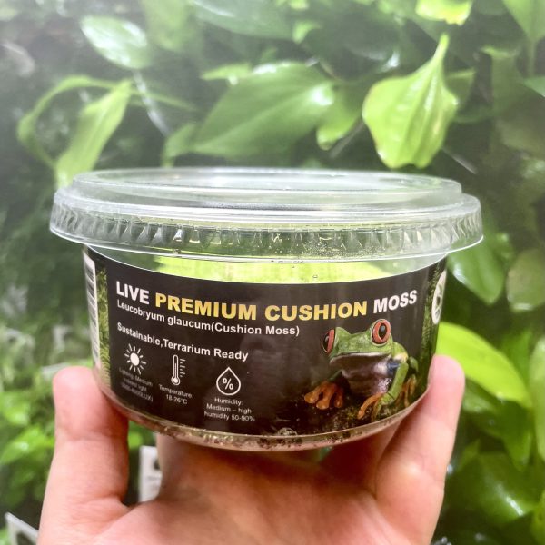 Horizon Labs Live Premium Cushion Moss