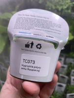 Horizon Labs Hygrophila Polysperma Rosanerwig - Image 2