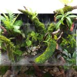 DOOA MIZUKUSA Mist Wall 600 - Image 2