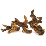 Mopani Drift Wood (Per 100g)