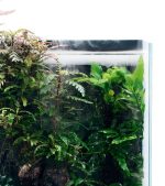 DOOA Mistflow - Image 2