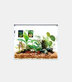 DOOA Neo Glass Paluda 60 - Image 2