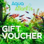 Gift Voucher