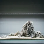 Seiryu Stone (Per 100g) - Image 4