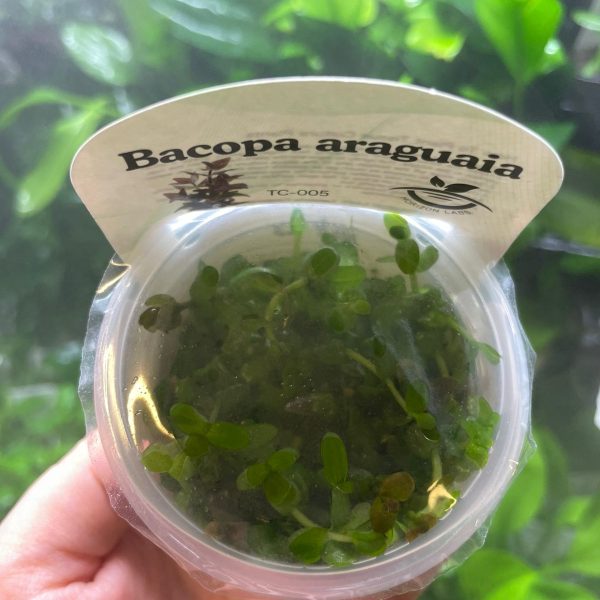 WhatsApp Image 2025 12 22 at 18.08.50 1