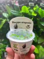 Horizon Labs Bacopa araguaia