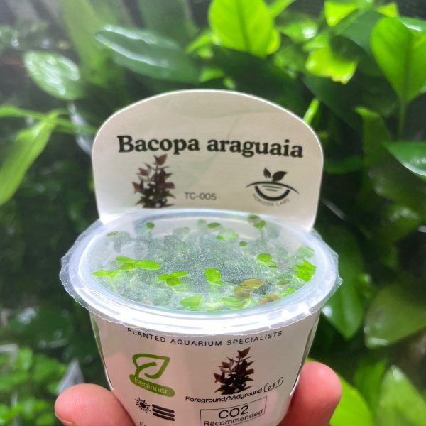 WhatsApp Image 2025 12 22 at 18.08.50