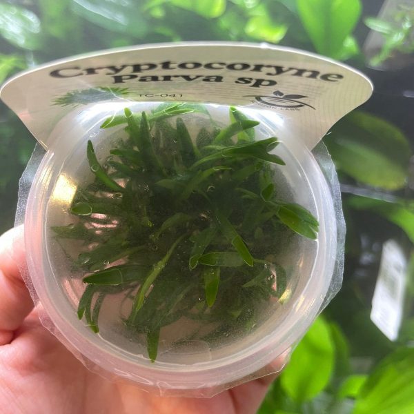 WhatsApp Image 2025 12 22 at 18.08.51 1