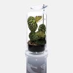 DOOA Magnet Light Stand Z - Image 2