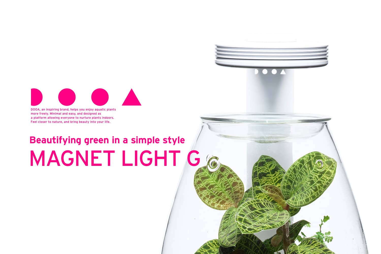 magnet light g newsimg en